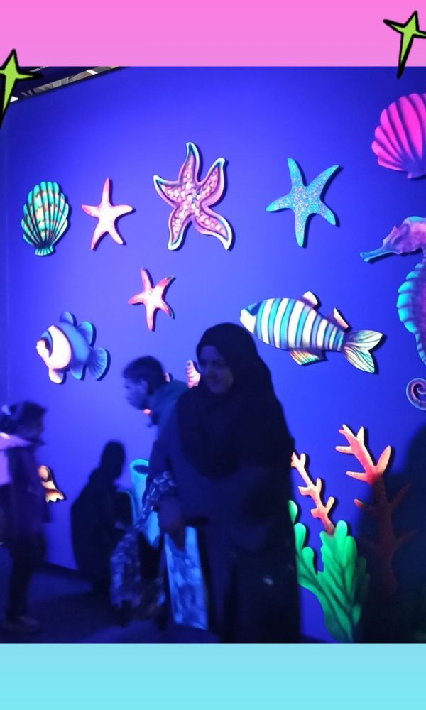 اردوی اقیانوس پارک