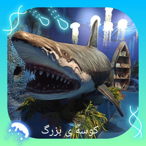 اردوی اقیانوس پارک