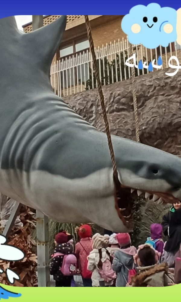 اردوی اقیانوس پارک