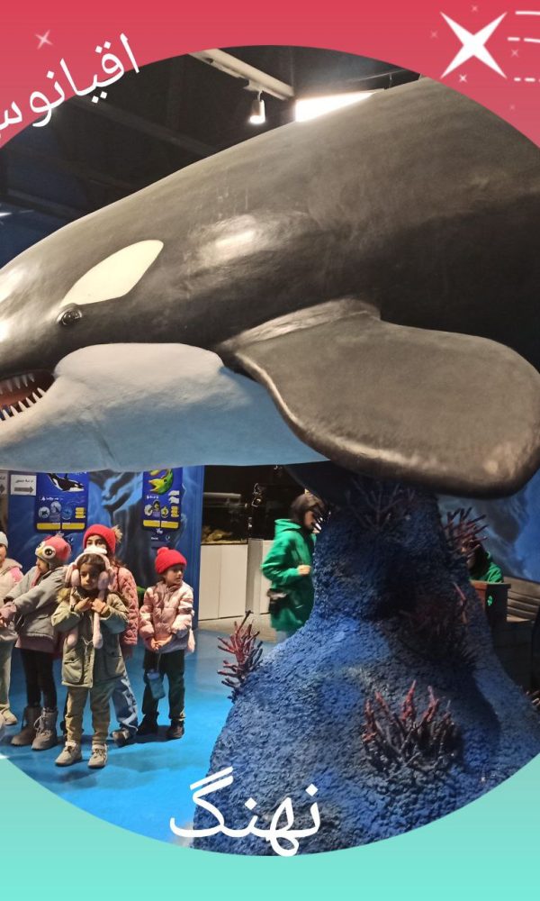 اردوی اقیانوس پارک