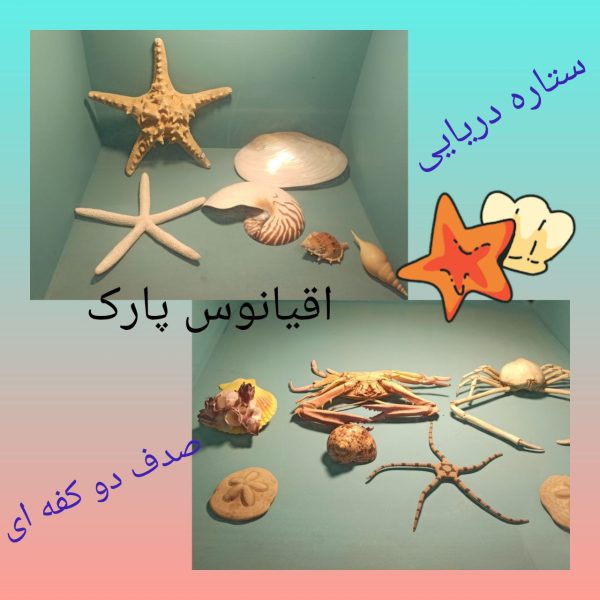 اردوی اقیانوس پارک